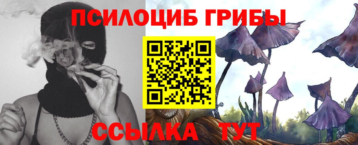 Галлюциногенные грибы GOLDEN TEACHER  Вход с VPN  Краснодар 